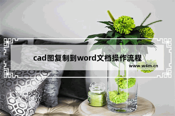 cad图复制到word文档操作流程