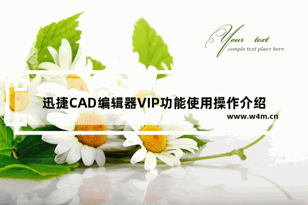 迅捷CAD编辑器VIP功能使用操作介绍