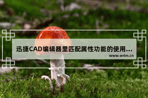 迅捷CAD编辑器里匹配属性功能的使用方法