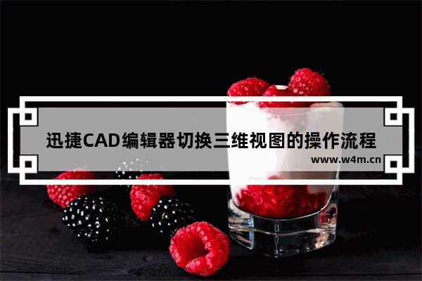 迅捷CAD编辑器切换三维视图的操作流程