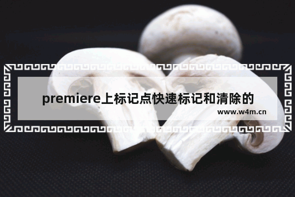 premiere上标记点快速标记和清除的操作方法