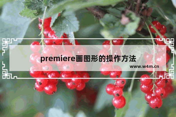 premiere画图形的操作方法