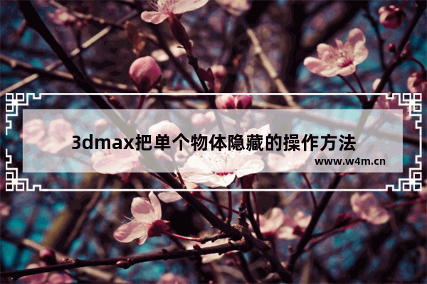 3dmax把单个物体隐藏的操作方法