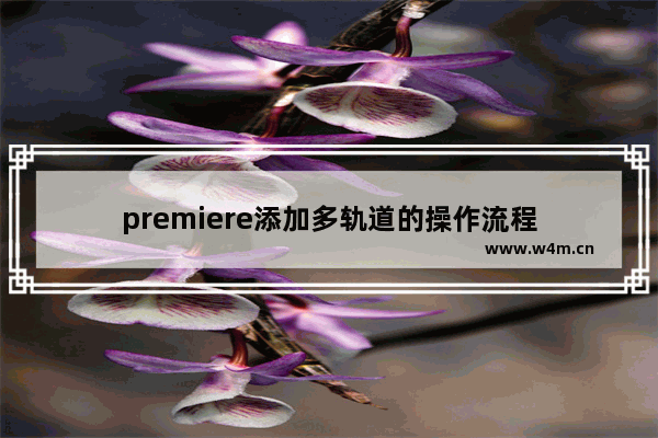 premiere添加多轨道的操作流程