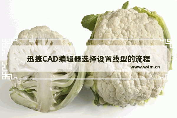 迅捷CAD编辑器选择设置线型的流程