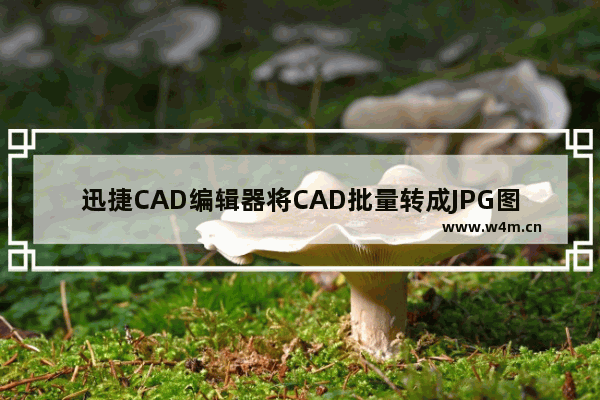 迅捷CAD编辑器将CAD批量转成JPG图片的操作步骤