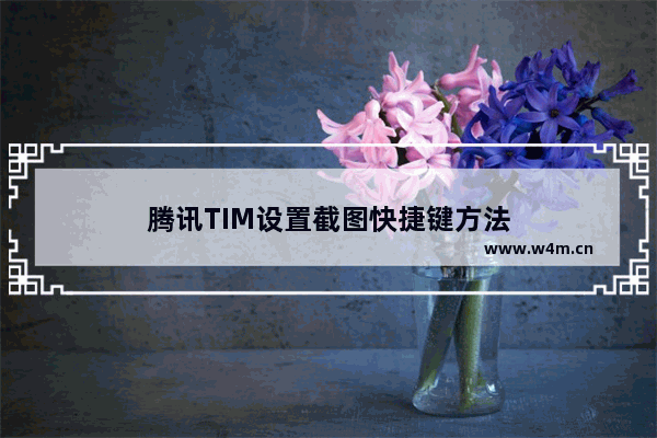 腾讯TIM设置截图快捷键方法