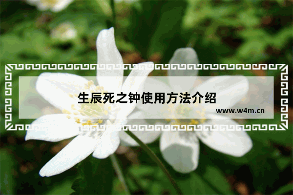 生辰死之钟使用方法介绍