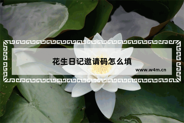 花生日记邀请码怎么填