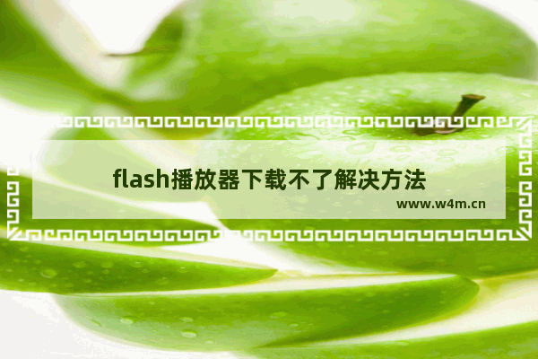 flash播放器下载不了解决方法