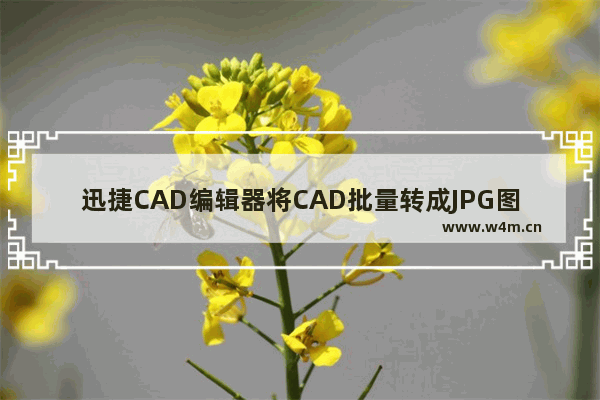 迅捷CAD编辑器将CAD批量转成JPG图片的方法