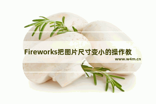 Fireworks把图片尺寸变小的操作教程