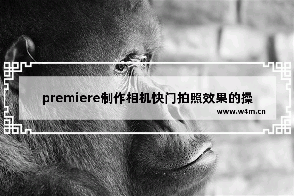 premiere制作相机快门拍照效果的操作步骤