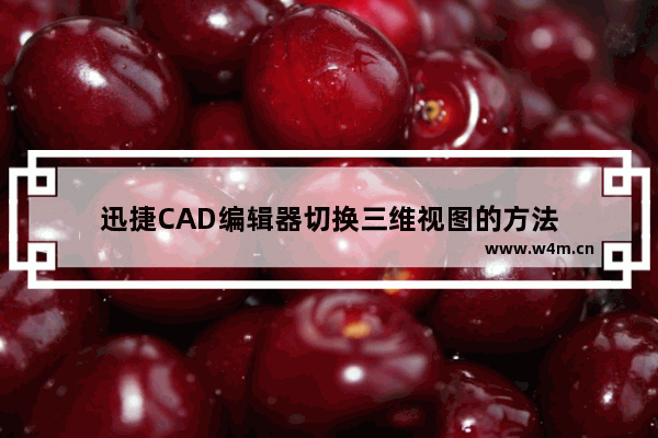 迅捷CAD编辑器切换三维视图的方法