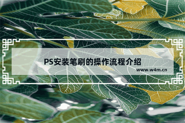 PS安装笔刷的操作流程介绍