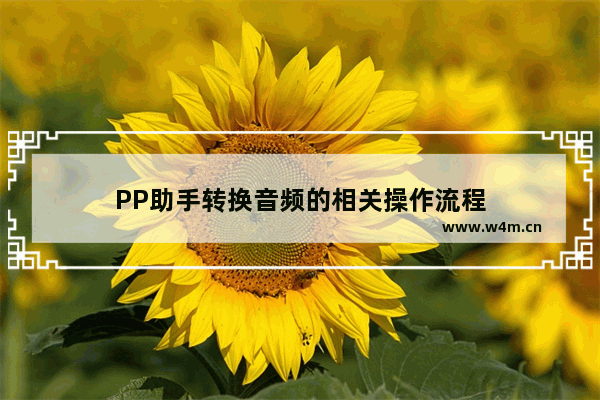 PP助手转换音频的相关操作流程