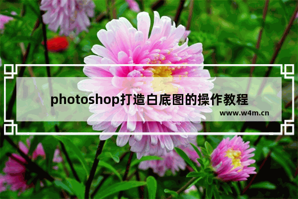 photoshop打造白底图的操作教程