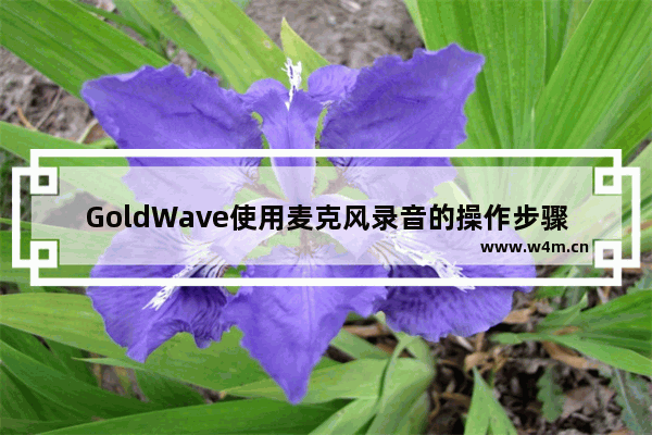 GoldWave使用麦克风录音的操作步骤