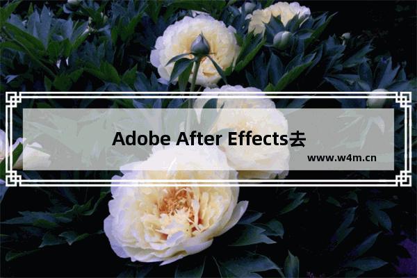 Adobe After Effects去掉图片白色底的方法