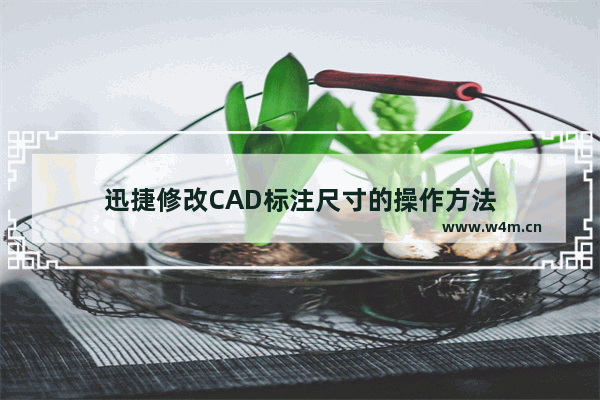 迅捷修改CAD标注尺寸的操作方法