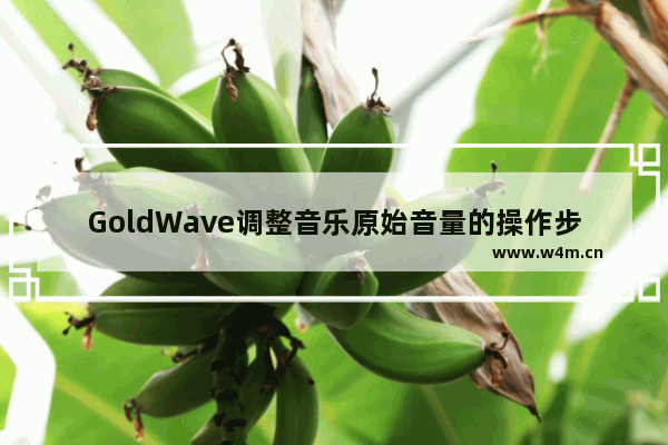 GoldWave调整音乐原始音量的操作步骤