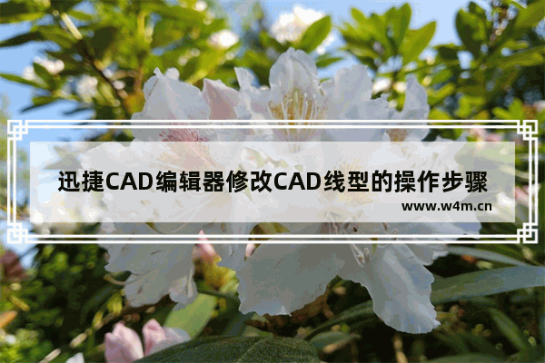 迅捷CAD编辑器修改CAD线型的操作步骤