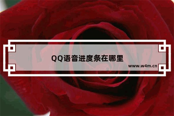 QQ语音进度条在哪里