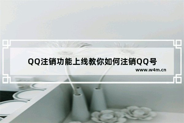 QQ注销功能上线教你如何注销QQ号