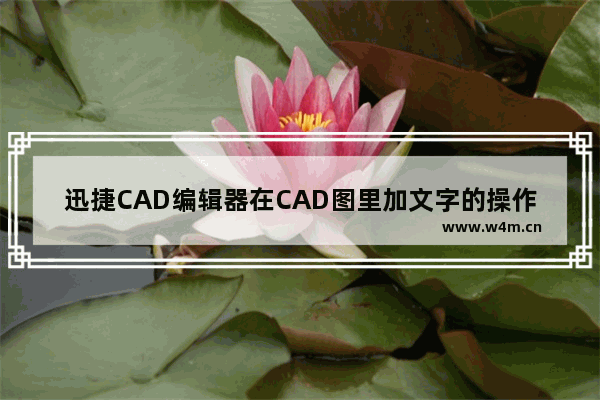 迅捷CAD编辑器在CAD图里加文字的操作步骤