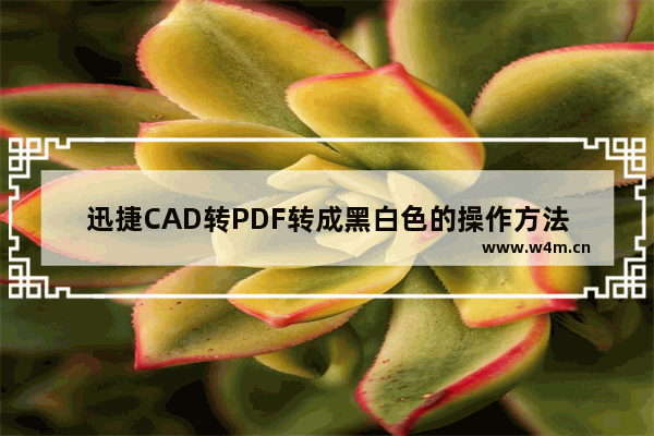 迅捷CAD转PDF转成黑白色的操作方法