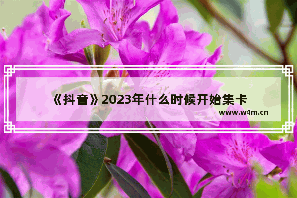 《抖音》2023年什么时候开始集卡