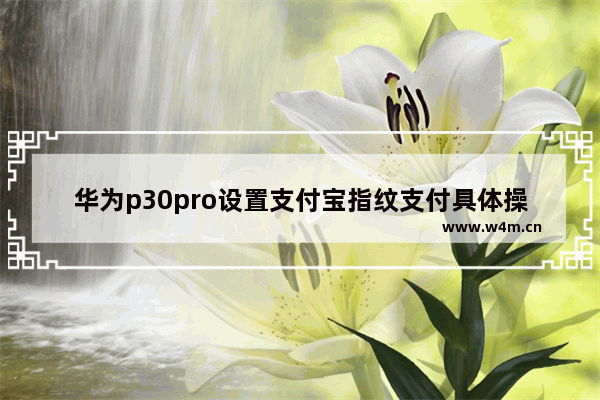 华为p30pro设置支付宝指纹支付具体操作方法