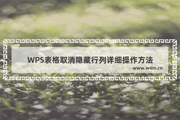 WPS表格取消隐藏行列详细操作方法