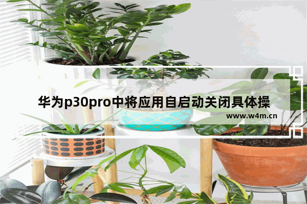 华为p30pro中将应用自启动关闭具体操作方法