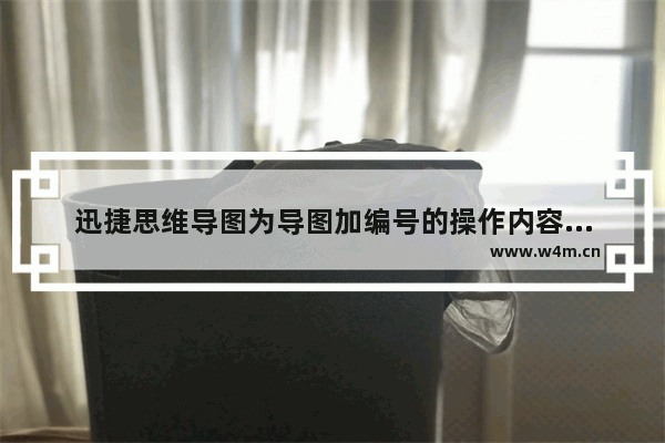 迅捷思维导图为导图加编号的操作内容讲解