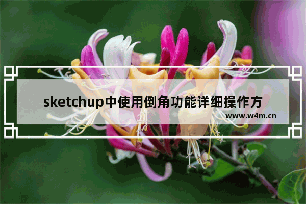 sketchup中使用倒角功能详细操作方法