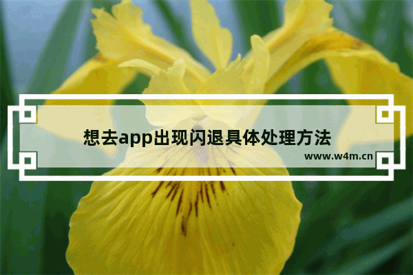 想去app出现闪退具体处理方法