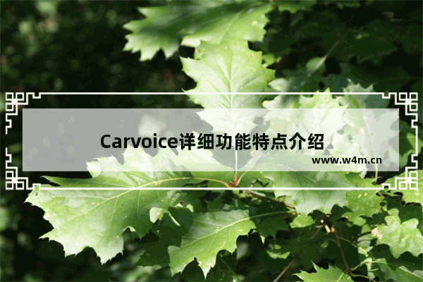 Carvoice详细功能特点介绍