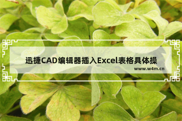 迅捷CAD编辑器插入Excel表格具体操作方法