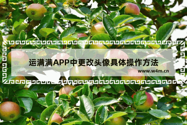 运满满APP中更改头像具体操作方法