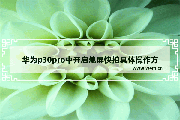 华为p30pro中开启熄屏快拍具体操作方法