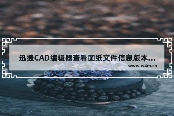 迅捷CAD编辑器查看图纸文件信息版本具体操作方法