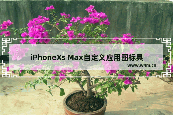 iPhoneXs Max自定义应用图标具体操作方法