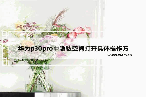 华为p30pro中隐私空间打开具体操作方法