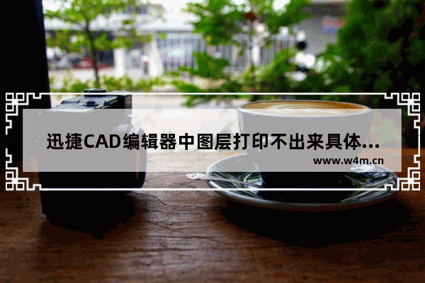 迅捷CAD编辑器中图层打印不出来具体处理方法