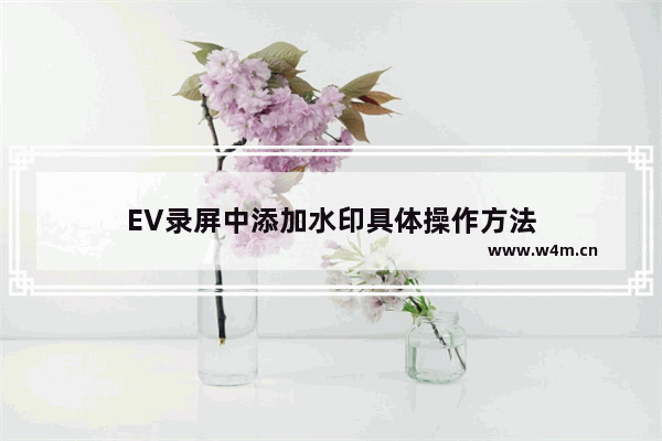 EV录屏中添加水印具体操作方法