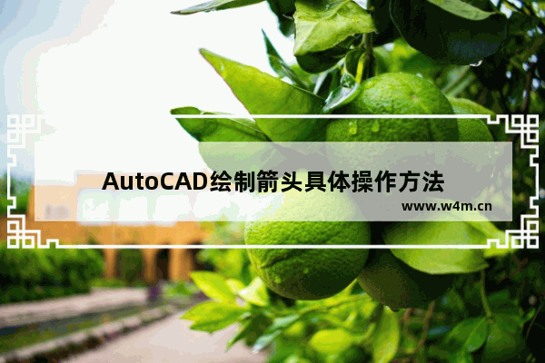 AutoCAD绘制箭头具体操作方法