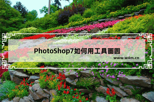 PhotoShop7如何用工具画圆