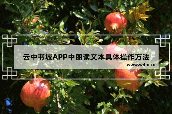 云中书城APP中朗读文本具体操作方法