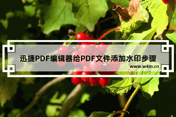 迅捷PDF编辑器给PDF文件添加水印步骤